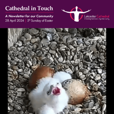 Cathedral in Touch - 28 April 2024
