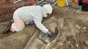 Archaeologist Amber Furmage 
excavates the lead coffin recently 
found at Leicester Cathedral. Image: 
ULAS
