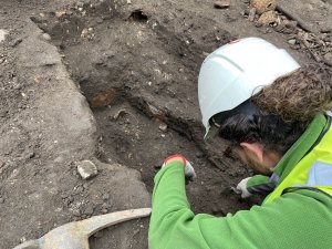 An archaeologist excavates a 
burial at Leicester Cathedral. 
Whilst the coffin wood doesn't 
survive, the coffin shape is still 
visible in the soil. The 
rust-coloured ovals are the backs 
of the coffin handles. Image: ULAS