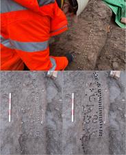 Top: an archaeologist excavates 
the remains of a coffin lid decorated 
with brass coffin studs. Bottom: The 
finished excavation. Whilst much of 
the coffin lid was missing, three 
lines of letters and numbers were 
still partially visible. The bottom 
number is probably the date of death, 
'738'. Images: ULAS.