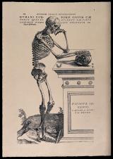 A skeleton, 
contemplating a skull. 
Photolithograph after 
a woodcut by A. 
Vesalius, 1543. Image: 
Wellcome Collection