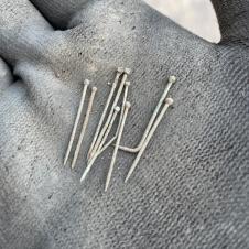 Shroud pins. Hundreds of these pins are being found in graves and in the burial soil. They are the clearest evidence we have that most of the 18th and 19th-century burials were wrapped in a cloth sheet, held together by these pins, inside the coffin.
