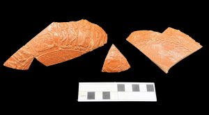 Image 2. Sherds of decorated samian ware bowls. Image: ULAS